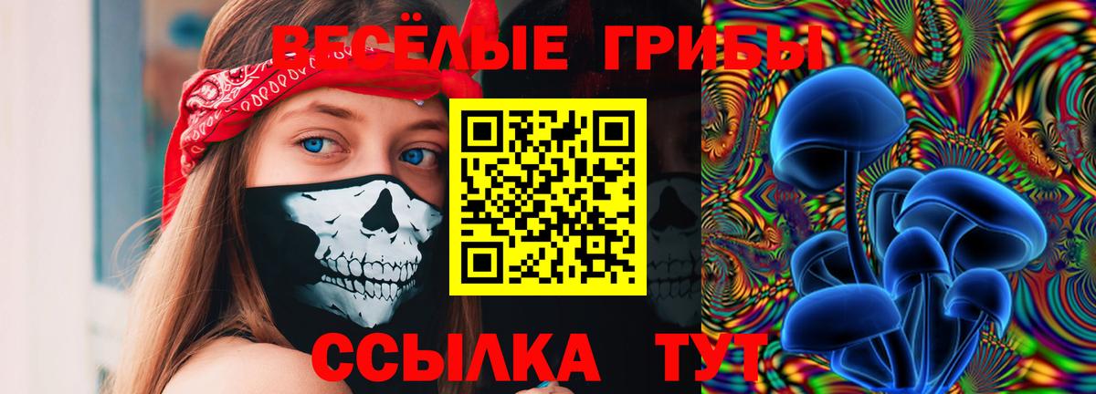 Псилоцибиновые грибы Psilocybe  Галлюциногенные грибы GOLDEN TEACHER  Белая Калитва  Вход с VPN 