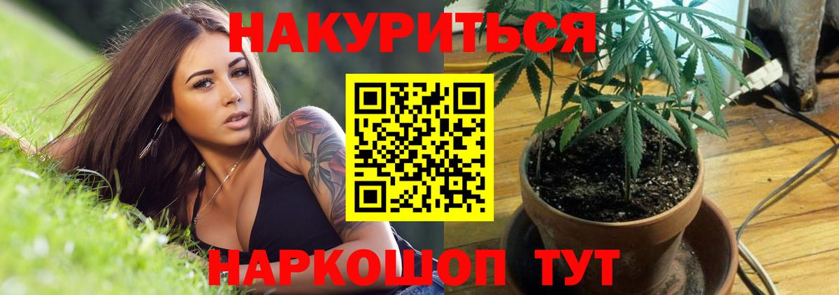 Канабис White Widow  Каннабис LSD WEED  Вход с VPN  Белая Калитва  Канабис гибрид 